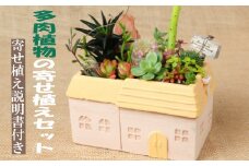 多肉植物の寄せ植えセット（メゾンレクトポット）長屋根
