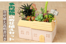多肉植物の寄せ植えセット（メゾンレクトポット）長屋根