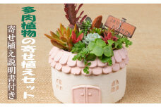多肉植物の寄せ植えセット（メゾンラウンドポット）丸屋根