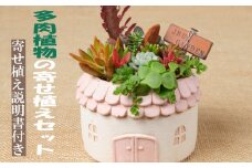 多肉植物の寄せ植えセット（メゾンラウンドポット）丸屋根