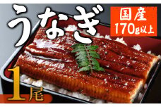 【数量限定】海土のうなぎの蒲焼き　１尾 ウナギ 鰻 惣菜 冷凍 おかず 10000円 １万円 魚介 訳あり