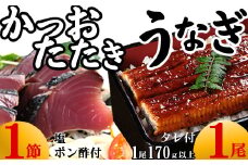 【数量限定】うなぎの蒲焼き１尾とかつおのたたき１節　食べ比べセット　鰹 カツオ 鰻 ウナギ 惣菜 おかず 冷凍 魚 魚介 海鮮 カツオタタキ 15000円 