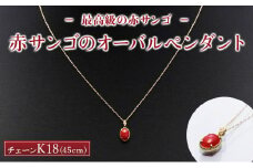 【最高級】赤サンゴのオーバルペンダント K18