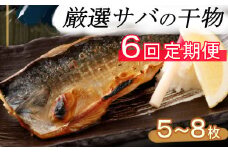 【６回定期便】ナカイチ海産！サバの干物５～８枚 _ 室戸産 国産 6回 定期便 6か月連続 干物 おかず 鯖 さば 冷凍 小分け 頒布会