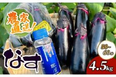 農家直送　土佐の美味茄子の新鮮ナス　４．５kg　（室戸海洋深層水にがり使用） 野菜 なす ナス 常温 小袋 国産 夏野菜 茄子 小分け 旬  高知 15000