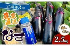 【定期便3回発送】農家直送　土佐の美味茄子の新鮮ナス　２．５kg　（室戸海洋深層水にがり使用） 野菜 なす ナス 常温 小袋 国産 夏野菜 茄子 小分け 旬 25500円 高知 頒布会