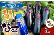【定期便3回発送】農家直送　土佐の美味茄子の新鮮ナス　３kg　（室戸海洋深層水にがり使用） 野菜 なす ナス 常温 小袋 国産 夏野菜 茄子 小分け 旬 30000円 高知 頒布会
