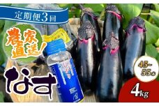 【定期便3回発送】農家直送　土佐の美味茄子の新鮮ナス　４kg　（室戸海洋深層水にがり使用） 野菜 なす ナス 常温 小袋 国産 夏野菜 茄子 小分け 旬 40500円 高知 頒布会