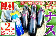 【定期便6回発送】農家直送　土佐の美味茄子の新鮮ナス　２kg　（室戸海洋深層水にがり使用） 野菜 なす ナス 常温 小袋 国産 夏野菜 茄子 小分け 旬 42000円 高知 頒布会
