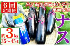 【定期便6回発送】農家直送　土佐の美味茄子の新鮮ナス　３kg　（室戸海洋深層水にがり使用） 野菜 なす ナス 常温 小袋 国産 夏野菜 茄子 小分け 旬 60000円 高知 頒布会