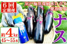 【定期便6回発送】農家直送　土佐の美味茄子の新鮮ナス　４kg　（室戸海洋深層水にがり使用） 野菜 なす ナス 常温 小袋 国産 夏野菜 茄子 小分け 旬 81000円 高知 頒布会