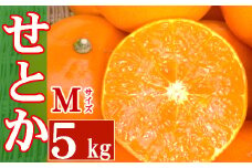 せとか　５ｋｇ　Ｍサイズ