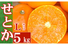 せとか　５ｋｇ　Lサイズ