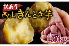 西山きんとき芋 5kg | 訳あり 新芋 さつまいも サツマイモ さつま芋 焼き芋 やきいも ヤキイモ 人気 野菜 不揃い 規格外 おやつ デザート秋 旬 生芋 ご家庭用 高知県 室戸市