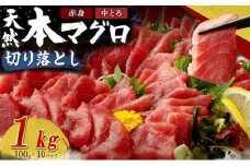 天然本まぐろ 赤身 中とろ 切り落とし 1kg 小分け (100g×10パック) 訳あり マグロ 刺身 カルパッチョ まぐろ丼 まぐろ漬け丼 魚 惣菜 海鮮丼 魚介類 父の日 食べきりサイズ 冷凍 不揃い 25000円