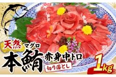 天然本まぐろ 赤身 中とろ 切り落とし 1kg 小分け (100g×10パック) 訳あり マグロ 刺身 カルパッチョ まぐろ丼 まぐろ漬け丼 魚 惣菜 海鮮丼 魚介類 父の日 食べきりサイズ 冷凍 不揃い 25000円