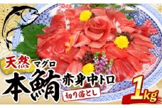 天然本まぐろ 赤身 中とろ 切り落とし 1kg 小分け (100g×10パック) 訳あり マグロ 刺身 カルパッチョ まぐろ丼 まぐろ漬け丼 魚 惣菜 海鮮丼 魚介類 父の日 食べきりサイズ 冷凍 不揃い 25000円