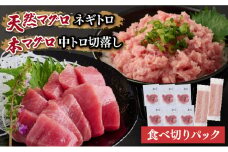 天然 本マグロ 中トロ 刺身 と 天然マグロ ネギトロ セット まぐろ 刺身 海鮮 冷凍 魚 海産物 魚介類 父の日 高知県 まぐろたたき 鮪