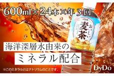 おいしい麦茶 3か月連続届 600ml×24本×3回 合計72本 DyDo ダイドー 麦茶 むぎ茶 カフェインゼロ お茶 飲料水 ペットボトル ドリンク 定期便 3ヶ月 送料無料 頒布会