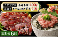 【定期便 / ６ヶ月連続】 土佐流藁焼きかつおのたたき１節と高豊丸ネギトロ４００ｇセット 魚介類 海産物 カツオ 鰹 わら焼き 高知 海鮮 冷凍 家庭用 訳あり 不揃い 規格外 連続 ６回 小分け 個包装 まぐろ マグロ 鮪 お手軽 頒布会