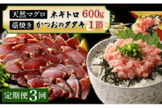 【定期便 / ３ヶ月連続】 土佐流藁焼きかつおのたたき１節と高豊丸ネギトロ６００ｇセット 魚介類 海産物 カツオ 鰹 わら焼き 高知 海鮮 冷凍 家庭用 訳あり 不揃い 規格外 連続 ３回 小分け 個包装 まぐろ マグロ 鮪 お手軽 頒布会