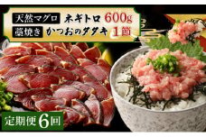 【定期便 / ６ヶ月連続】 土佐流藁焼きかつおのたたき１節と高豊丸ネギトロ６００ｇセット 魚介類 海産物 カツオ 鰹 わら焼き 高知 海鮮 冷凍 家庭用 訳あり 不揃い 規格外 連続 ６回 小分け 個包装 まぐろ マグロ 鮪 お手軽 頒布会