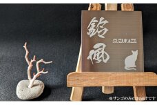 室戸産サンゴ原木 ６ｇ（２匁） 白珊瑚 インテリア オブジェ 国産 魔除け 邪気払い パワーストーン アクアリウム