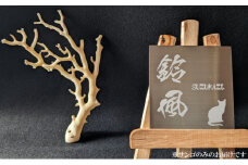 室戸産サンゴ原木 約83ｇ（22匁） 白珊瑚