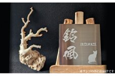 室戸産サンゴ原木 約171ｇ（46匁） 白珊瑚