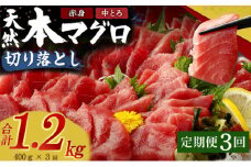 【定期便 / ３ヶ月連続】 天然本マグロ (赤身・中とろ) 切り落とし 合計１．２㎏  (100g×4パック×３回) マグロ 刺身 刺し身 魚 惣菜 海鮮丼 魚介類 食べきりサイズ 小分け 冷凍 訳あり 不揃い 傷 規格外 定期 連続 30000 頒布会