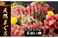 【訳あり】天然メバチマグロ １．５kg (不揃い柵)　 まぐろ マグロ 赤身 鮪 サク 柵 中トロ 天然 天然まぐろ 天然マグロ 刺身 お刺身 食べ比べ 海鮮丼 丼 魚 さかな 新鮮 高知 室戸 冷凍 小分け 海鮮 20000円 20,000 2万