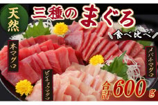 【３種のまぐろお手軽グルメセット】 ６００ｇ　本マグロ ビンチョウマグロ メバチマグロ スライス 切り落とし 切落し 天然 鮪 刺身 刺し身 食べ比べ 魚 さかな 高知 室戸 冷凍 小分け 便利 10000円 1万円