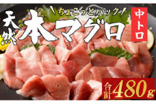 【天然本まぐろ 中トロ】 480g 60g×8パック 切落し お手軽 食べきりサイズ 切り落とし お刺身 魚介類 海鮮 小分け 魚 天然まぐろ 魚貝 マグロ 高知県 簡単解凍 簡単調理 惣菜 冷凍