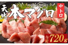 【天然本まぐろ 中トロ】 720g 60g×12パック 切落し お手軽 食べきりサイズ 切り落とし お刺身 魚介類 海鮮 小分け 魚 天然まぐろ 魚貝 マグロ 高知県 簡単解凍 簡単調理 惣菜 冷凍
