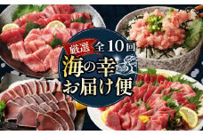 【 全10回定期便 】タカシン水産厳選 高知の海鮮セット まぐろ カツオのたたき ネギトロ 中トロ 刺身 海鮮 鰹 冷凍 魚 海産物 魚介類 高知県 まぐろたたき 鮪 藁焼き わら焼き タカシン定期便 海鮮定期便 頒布会 頒布会