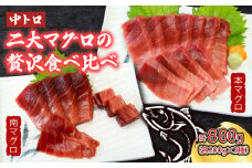 厳選天然本まぐろ中トロ２柵　と　厳選天然南まぐろ２柵 食べ比べ 合計800ｇ まぐろ マグロ 鮪 本マグロ 本まぐろ 天然 父の日