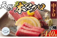 厳選 天然本まぐろ中トロ２柵 たっぷり 堪能 年末 お正月 正月 まぐろ マグロ 鮪 本マグロ 本まぐろ 天然 魚 海鮮 魚介 比較 年末発送 正月 父の日