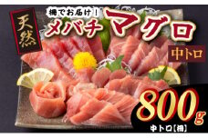 天然メバチマグロ 【 中トロ 】800ｇ（柵） メバチマグロ めばちまぐろ めばち メバチ まぐろ マグロ 鮪 サク 柵 中トロ 天然 天然まぐろ 天然マグロ 刺身 お刺身 食べ比べ 海鮮丼 丼 魚 さかな 新鮮 高知 室戸 冷凍 小分け 海鮮