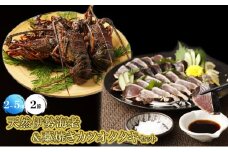 活冷伊勢海老 １kg と 藁焼きカツオたたき 2節 セット 高知 のいいとこどり