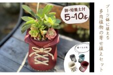ブーツ鉢に植える！ 多肉植物の寄せ植えセット (片足) 多肉植物5本～10本入り  可愛い ミニサイズ 人気 オススメ 趣味 インテリア ナチュラル 自然 風水 緑 かわいい 初心者 おすすめ 