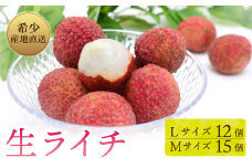 【令和7年6月中旬頃より発送】生ライチ 国産 室戸海洋深層水使用 ライチ 果物 フルーツ 化粧箱入り 贈答用
