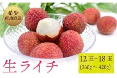 【令和8年6月上旬より発送】 先行予約 生ライチ 国産 室戸海洋深層水使用 ライチ 果物 くだもの 季節限定 期間限定 数量限定 旬 限定 国産 贈答 ギフト 贈り物 プレゼント 高知県 室戸市