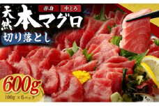 天然本マグロ 中トロ 赤身 切り落とし 600g 小分け (100g×6パック) 訳あり マグロ 刺身 カルパッチョ まぐろ丼 まぐろ漬け丼 魚 惣菜 海鮮丼 魚介類 食べきりサイズ 冷凍 不揃い