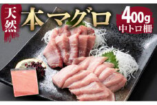 厳選！ 天然本まぐろ 中トロ  ４００ｇ お刺身用 天然まぐろ 天然マグロ まぐろ 鮪 刺身 お刺身 サク 柵 高知 室戸 冷凍 瞬間冷凍 小分け 便利 父の日 