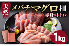 天然マグロ 中トロ 赤身 柵 【 １kg セット (100g×10pc)】 サク さく メバチ 天然 マグロ 赤身 鮪 まぐろ 100% 冷凍 刺身 海鮮 丼 刺し身 小分け 高知 室戸 19000円