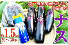 農家直送　土佐の美味茄子の新鮮ナス　1.5kg　（室戸海洋深層水にがり使用） 野菜 なす ナス 常温 小袋 国産 夏野菜 茄子 小分け 旬 5000円 高知