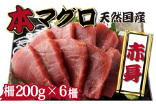 【漁師直送】天然本マグロ 赤身 1200g 国産 柵 44000 本まぐろ 鮪 国産まぐろ マグロ 高知県 国産マグロ 魚介類 人気