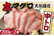 【漁師直送】天然本マグロ 中トロ 400g 国産 柵 19000  本まぐろ 鮪 国産まぐろ マグロ 高知県 国産マグロ 魚介類 人気