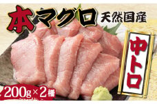 【漁師直送】天然本マグロ 中トロ 400g 国産 柵 19000  本まぐろ 鮪 国産まぐろ マグロ 高知県 国産マグロ 魚介類 人気