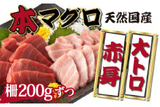【漁師直送】天然本マグロ 赤身 大トロ 400g 国産 柵 21500 本まぐろ 鮪 国産まぐろ マグロ 高知県 国産マグロ 魚介類 人気